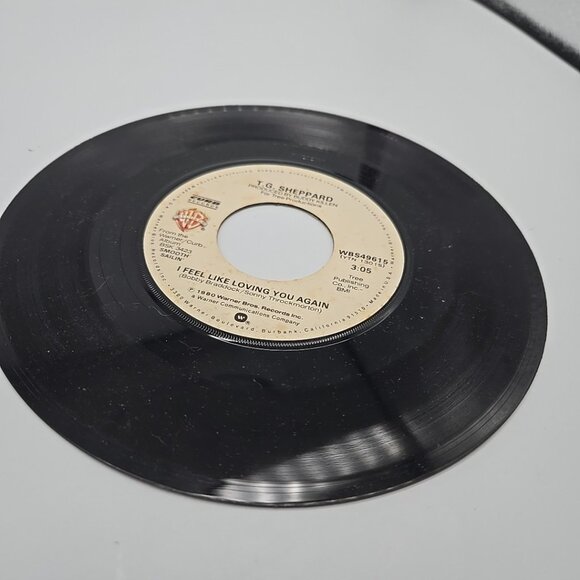 Let The Little bird Fly / I Feel Like Loving You Again T G Shepard 45 Vinyl - Picture 2 of 4